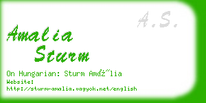 amalia sturm business card